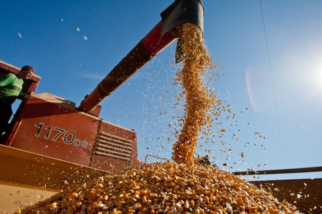 Economia do Sul avança 3,1% em 2025