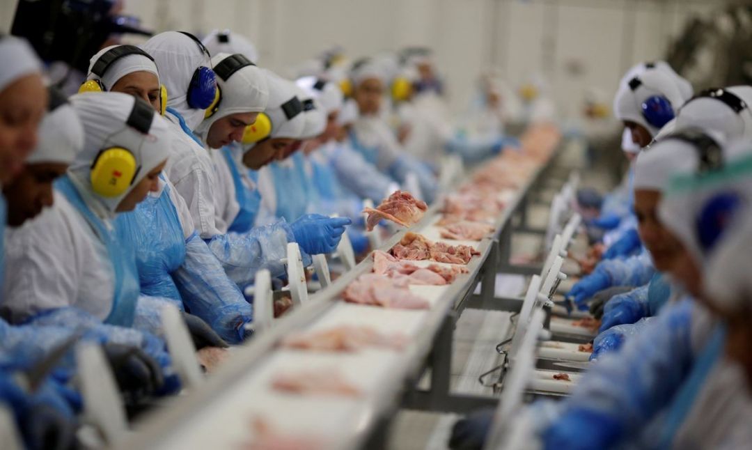União Europeia oficializa veto à carne brasileira