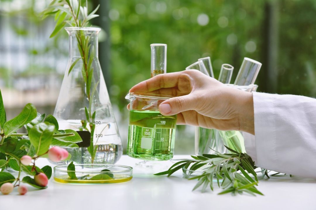 Bioeconomia movimenta R$ 2,7 trilhões no Brasil