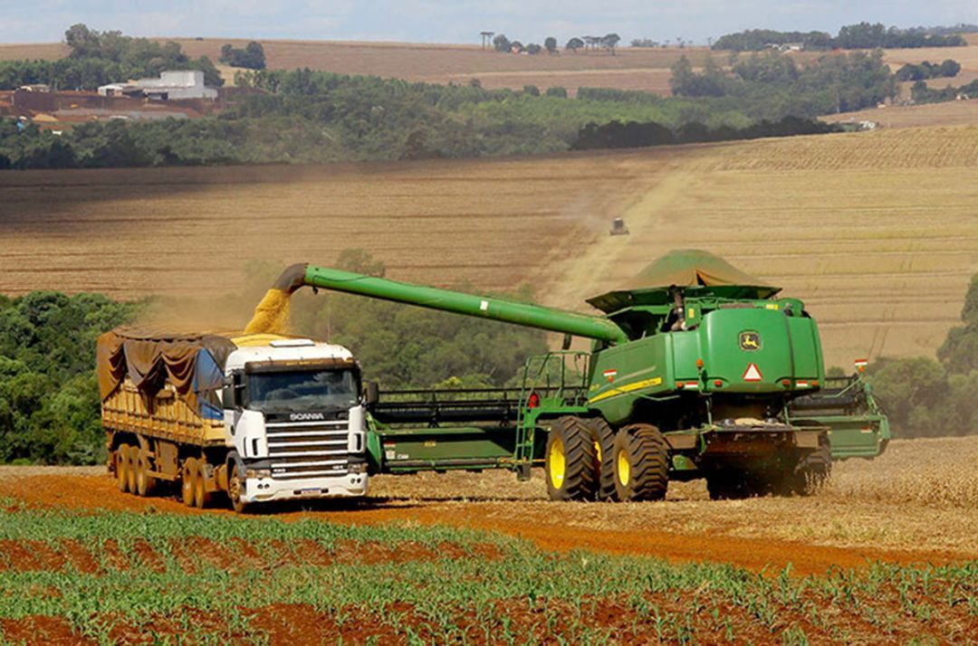 Novo recorde na safra de soja soma 174 milhões de toneladas