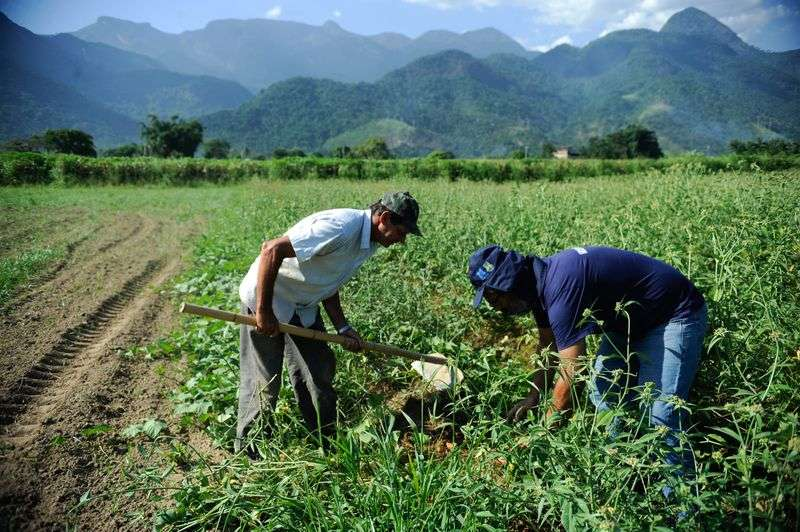 Finep vai pagar R$ 220 milhões para inovações em agricultura familiar