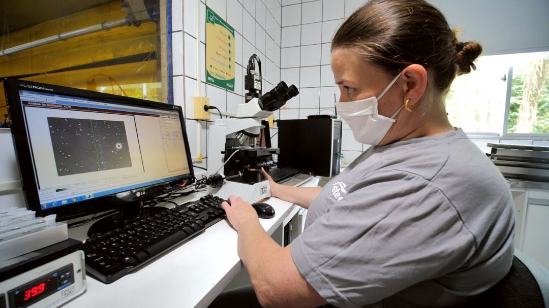 Master Agroindustrial recebe R$ 72,5 milhões para projeto inovador em suinocultura