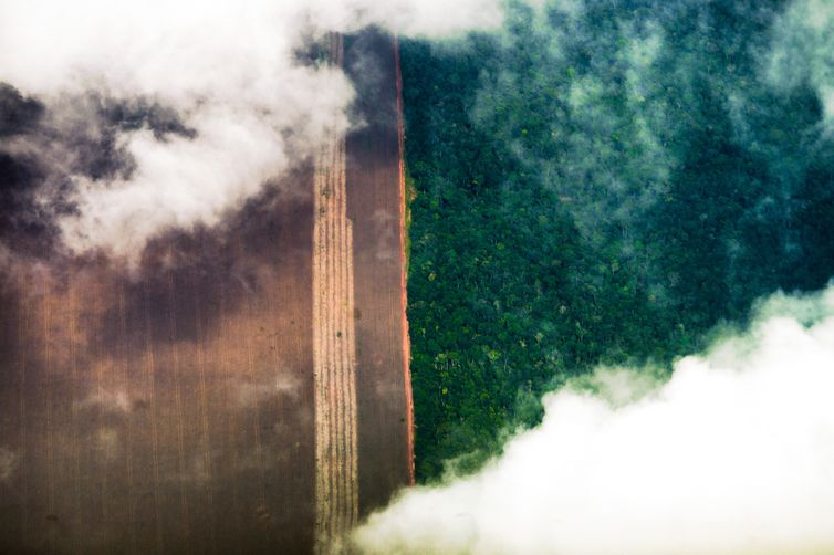 Como o desmatamento da Amazônia ameaça produção de grãos do Paraná